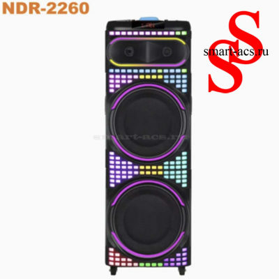 КОЛОНКА NDR-2260
